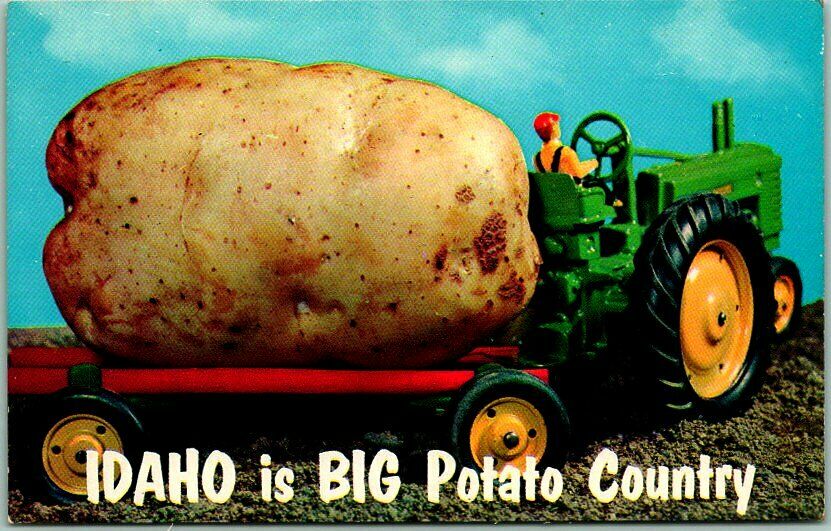 Vintage IDAHO Comic Greetings Postcard "Idaho Is BIG Potato Country" Chrome