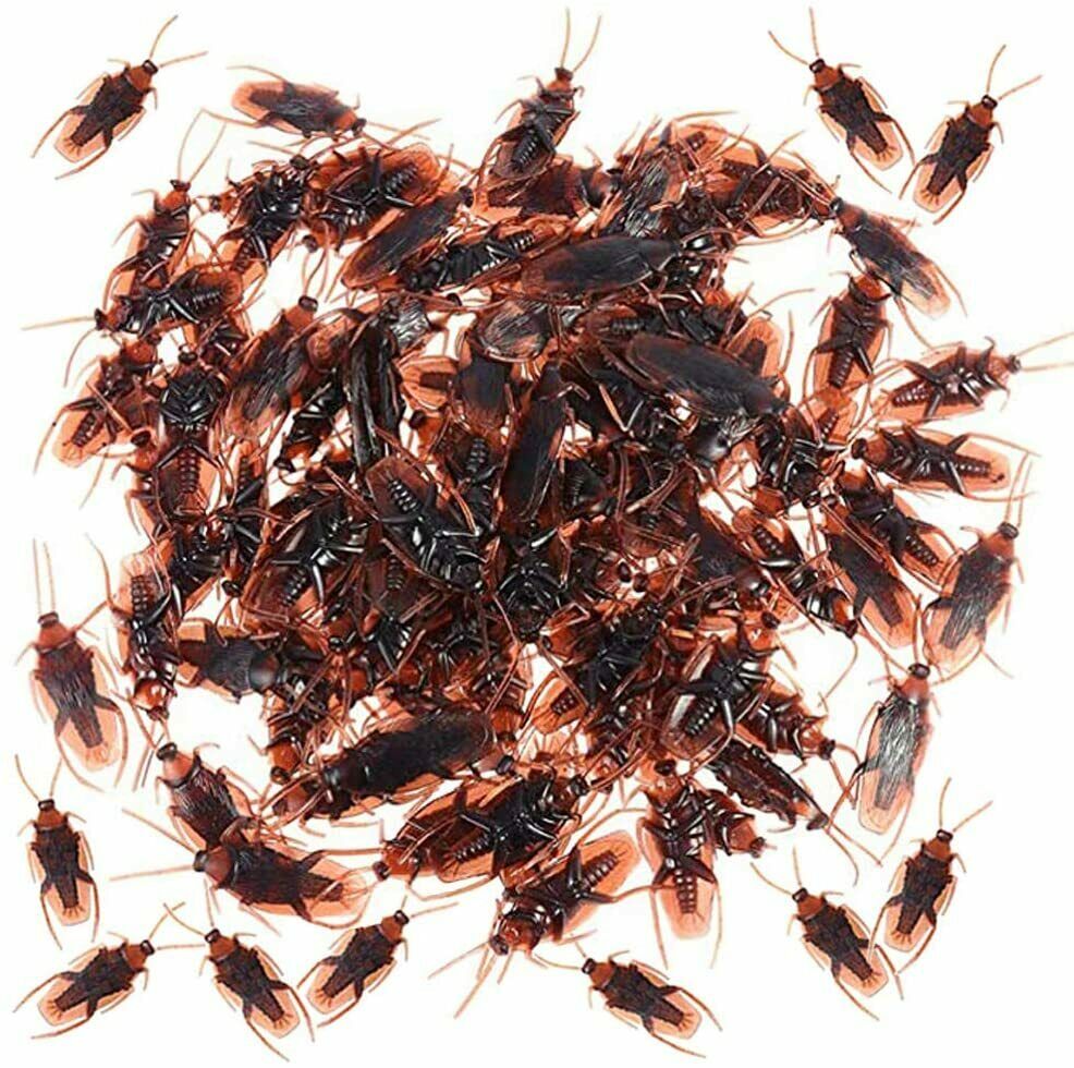 Baaxxango 100 PCS Plastic Realistic Roach,Plastic Cockroach Bug Joke ...