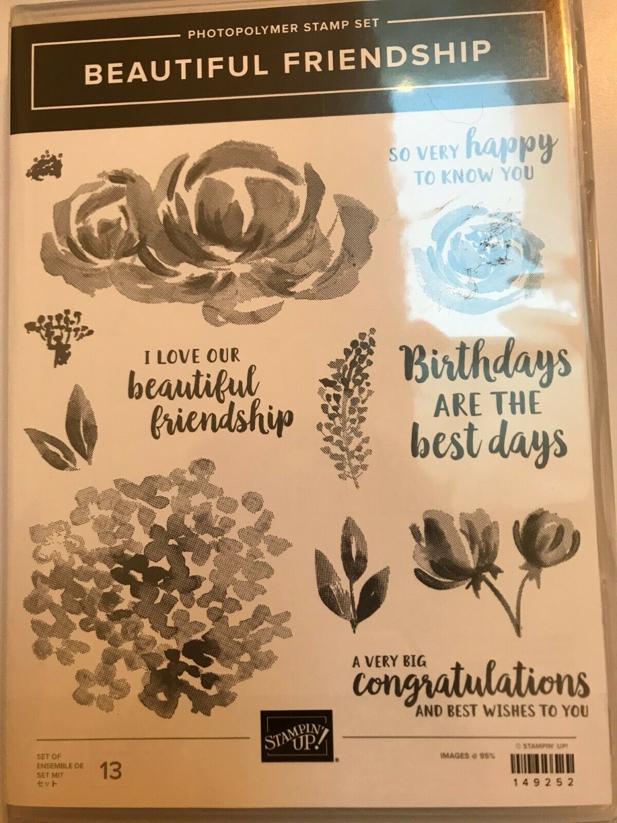 Stampin Up Beautiful Friendship Photopolymer Stamp Set 3870